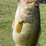 Zeb Miller Colton Hardisty Joe - @zcj.fishing - Instagram