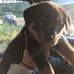 Zeb Patterson - Facebook