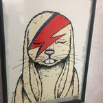 Thomas Myers - @zebpike1876 - Instagram
