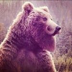 Zeb Pike - @zebpike116 - Instagram