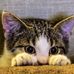 Zeb Roberts - Facebook