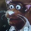Zeb - @zebulonsparkswallace - TikTok