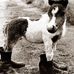 Zeb Whitehead - Facebook