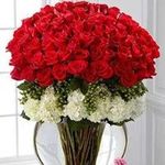 Zeba Baig - @dr.zebabaig - Instagram