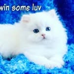 zeba baig - @zeba5827 - Instagram