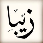 Zeba Baig - @zeba.baig.35 - Instagram
