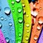 Zeba Baig - @zeba.baig.902 - Instagram
