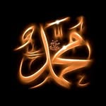 zeba haider - @syed_zeba786 - Instagram