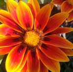 Zeba Haider - Facebook