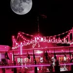 Zeba Haider - @zebahaider0110 - Instagram