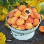 Zeba Imran Zeba Imran - @zebaimranzeba - Instagram