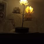zebaimran - @zebaimran01 - Instagram