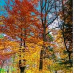 Zeba Islam - Facebook