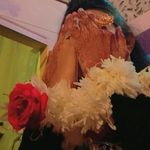 zebasalim - @zebasalim4 - Instagram