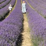 Emily Zebedee 'rachael' Taylor - @allotment_all_the_gear_no_idea - Instagram