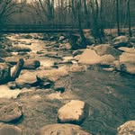 Zechariah Mitchell - @zech_mitchell26 - Instagram