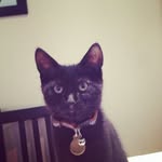 Zed Davis - @hey_its_zed_ - Instagram