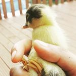 Farmer_Zed - @farmer_zed - Instagram