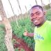 The male zed farmer - Facebook