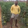 Zed Smart Farmer - @manyongwemusunga - TikTok