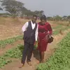 Zed Smart Farmer Musunga - @zed.smart.farmer - TikTok