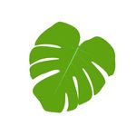 Zeebee market - @zeebee.market - Instagram