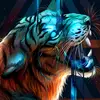 zeemalik 07 - @user6257803095453 - TikTok