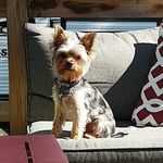 Murphy Z - @the_murphy_zee - Instagram