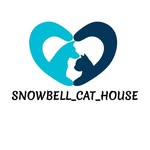 zeeshan shafi Shawl - @snowbell_cats_house - Instagram