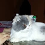 Zeferino Muñoz - @zeferino.zm - Instagram