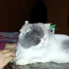 Zeferino Muñoz - @zeferino.muoz2 - TikTok