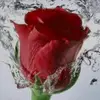 zehra - @zehraahmed2024 - TikTok