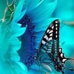 Zeida González - @zeida2628 - Instagram