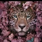 Zeina A Hammad - @zaina_a_hammad - Instagram