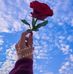 Zeinab Mohammad - Facebook