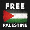 zeinabmohammad685 - @liberatepalastine - TikTok
