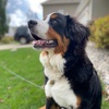 Brian Nichols - @zekebernese - TikTok