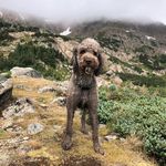 Zeke Brown - @zeke_brown_gravy - Instagram