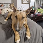 Zelda Botha van Zyl - Facebook
