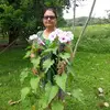 zeliapinto86 - @zeliapinto86 - TikTok