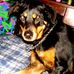 Zena Lewis - Facebook