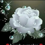 Zerrin karaca - @zrrn.k - Instagram