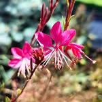 Zerrin Karaçan - @karacanzerrin - Instagram