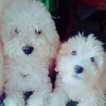 gordonYzeus - @gordonyzeus - Instagram