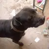Zeus Gordon - @zeusgordon8 - TikTok