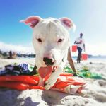 Zeus Titan Gordon - @zeustitangordon - Instagram