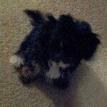Zeus Rivera - @2cute4utho - Instagram