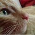 Zeus Rivera - Facebook
