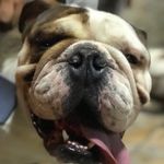 zeus rivera Benavides - @zeus_rivera_benavides - Instagram