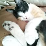 Santi - @zeus_.vasquez - Instagram